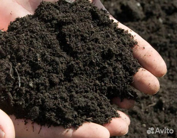 Чернозём, перегной, торф, куриный помет