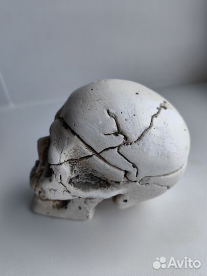 Череп пепельница шкатулка