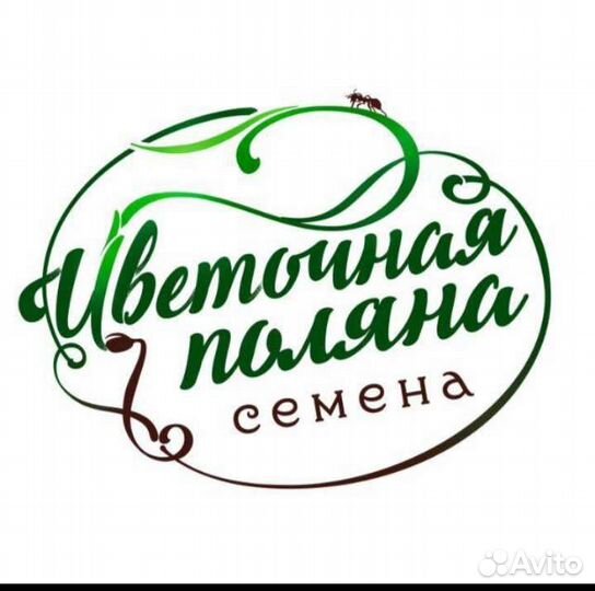 Продавец консультант