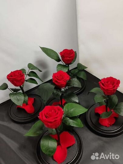 Роза в колбе оптом