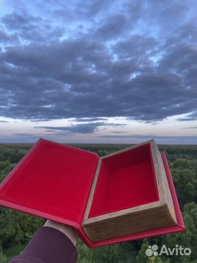 Библия-сейф Supreme оригинал