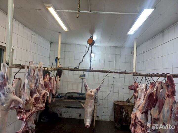 Мясо халяль, говядина, баранина