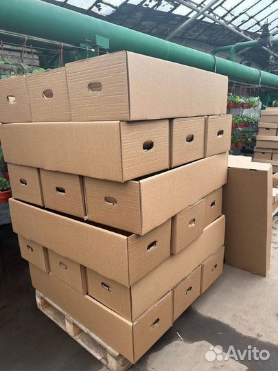 Тюльпаны к 8 марта оптом