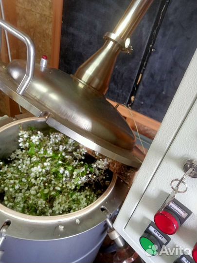 Натуральные гидролаты и эфирные масла