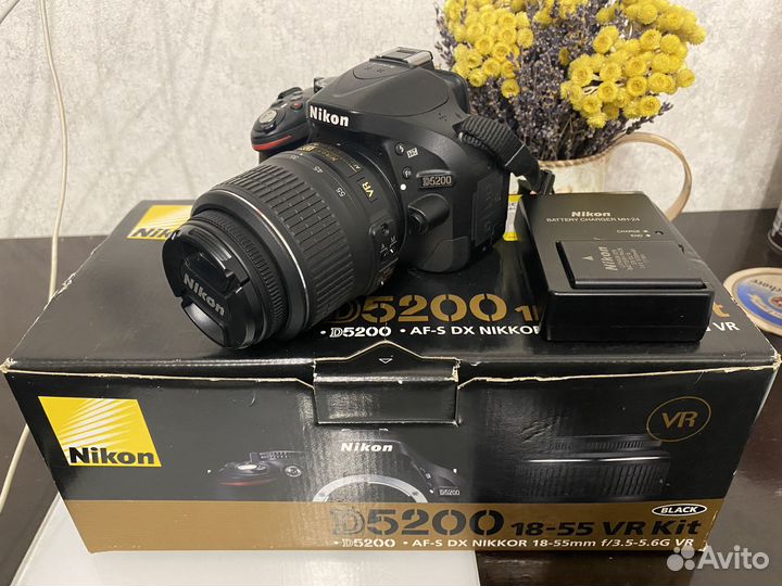Зеркальный фотоаппарат Nikon D5200