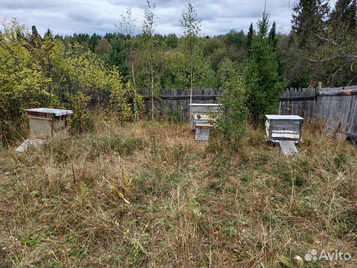 Медогонка 4х рамочная б/у с инвентарем