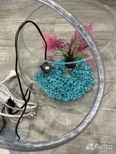 Аквариум на 10 литров +фильт