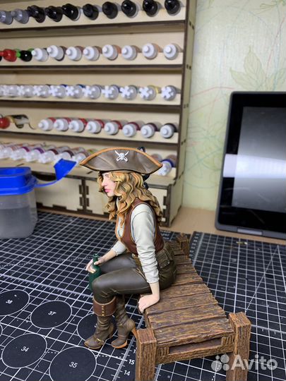 Модель Пиратка