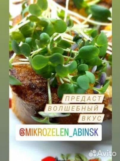 Витграсс-сок Микрозелень