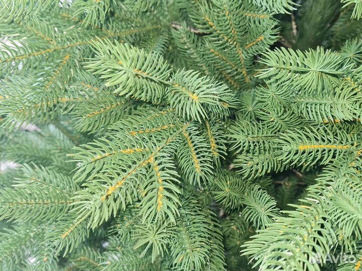 Ель искуственная литая