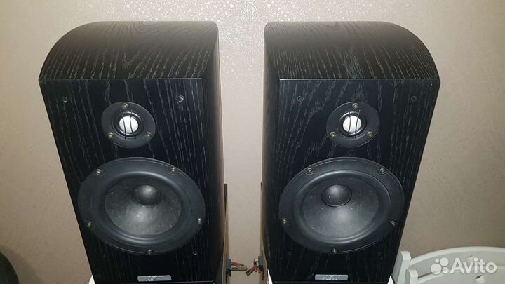 Акустические колонки ASW genius 110