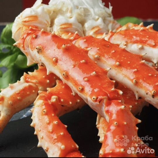 Клешни камчатского краба