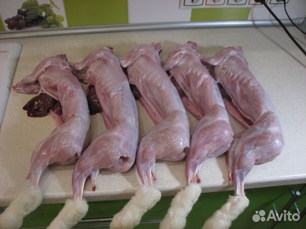 Мясо кролика