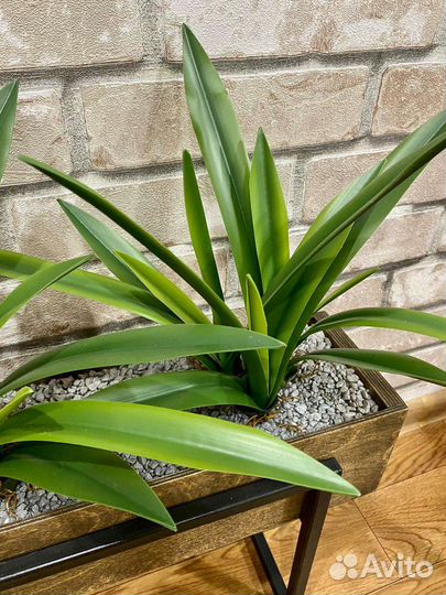 Искусственный цветок домой, в кафе, в офис