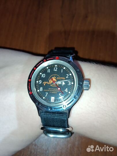 Амфибия 420380