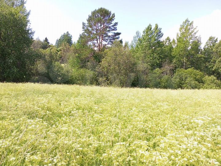 Участок 15 сот. (СНТ, ДНП)