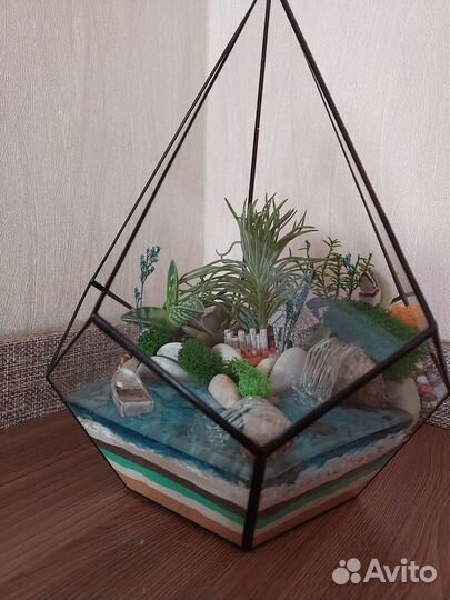 Флорариум суккуленты