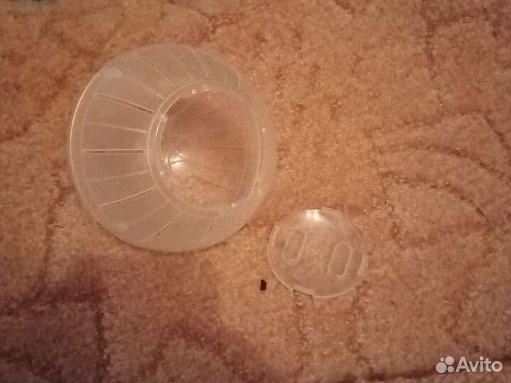 Шар для джунгарского хомяка