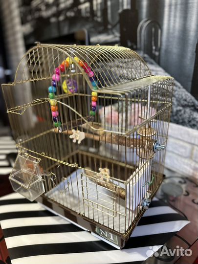 Клетка для попугая