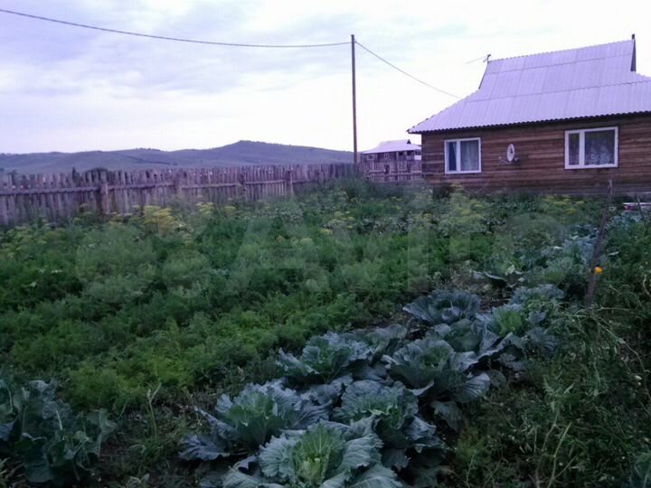 Дом 54 м² на участке 50 сот.