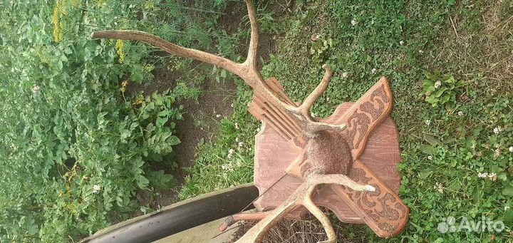 Декоративная вешалка для шапок