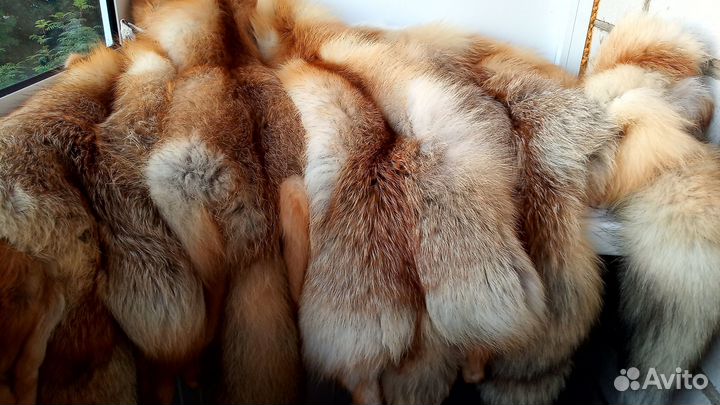 Мех лисы чулком