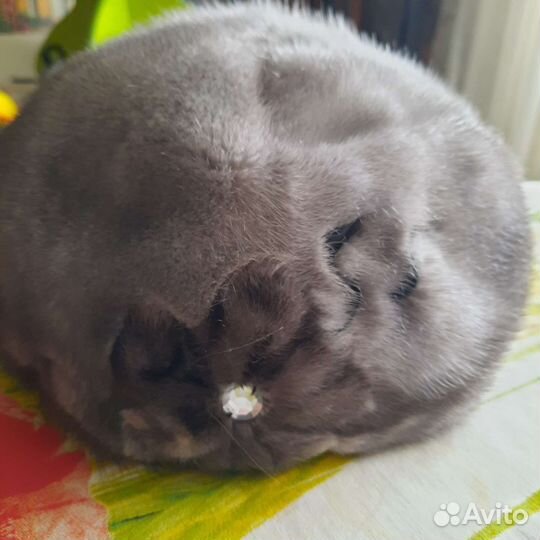 Берет женский норковый мягкий