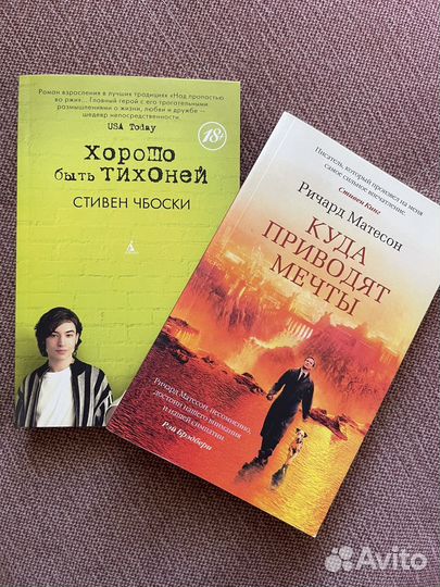Хорошо быть тихоней. Куда приводят мечты (книги)