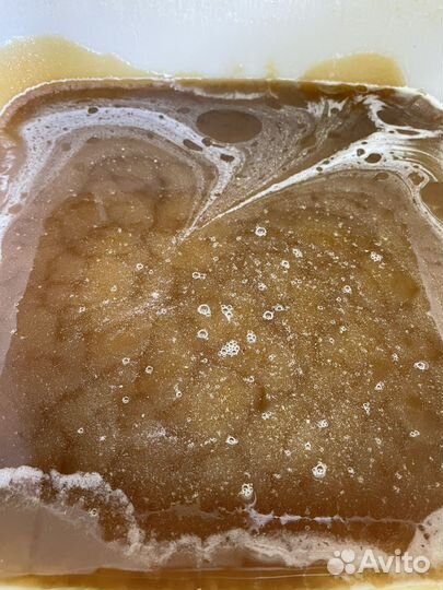 Мед алтайский