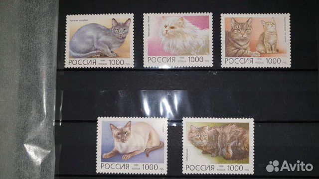 1996, марки РФ Домашние кошки. комплект