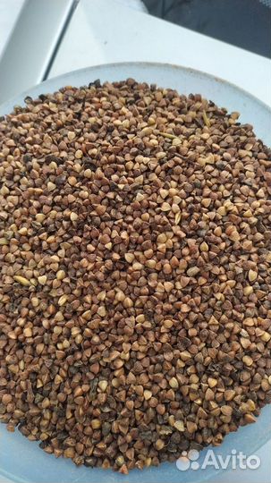 Гречневая крупа, Рис дроблëный некондиция