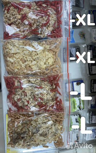 Мормыш, мотыль, опарыш