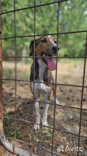 Девочка примерно 2,5 года