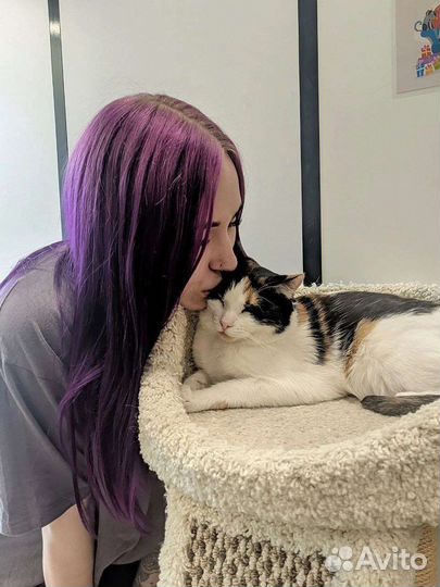 Передержка животных, кошек, догситтер, няня для ко