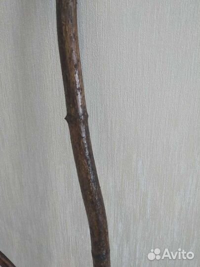 Деревянные стволы, деревья для декора