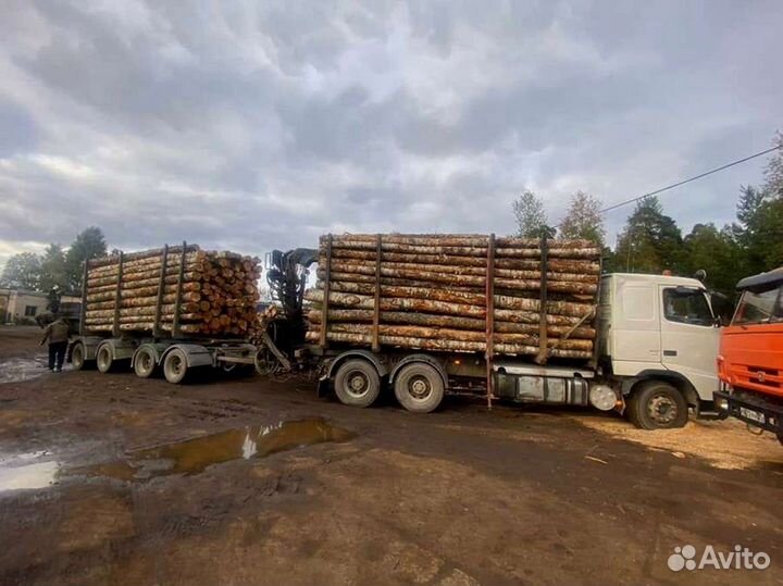 Дрова на дачу