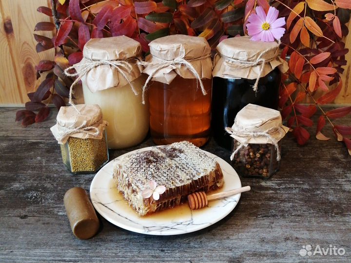 Алтайский Мед 2023, пыльца, прополис, перга Тула