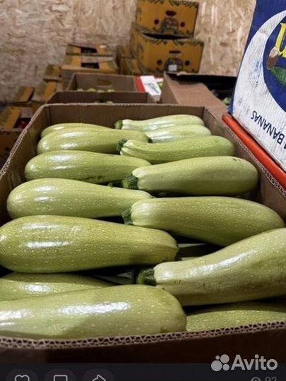 Овощи и фрукты оптом