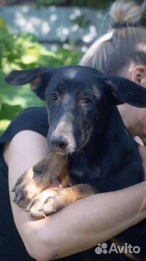 Очень хорошей девочке нужна семья