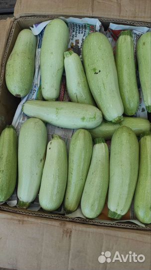 Капуста и кабачки