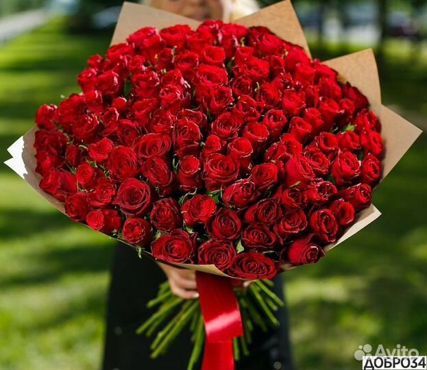 101 красная роза Доставка