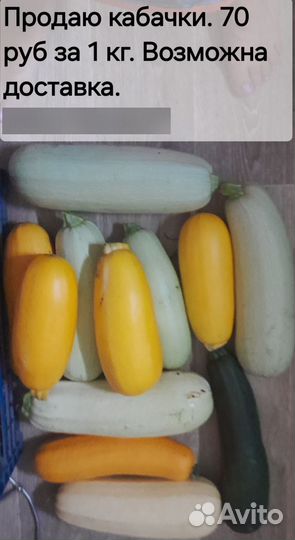 Кабачки молодые