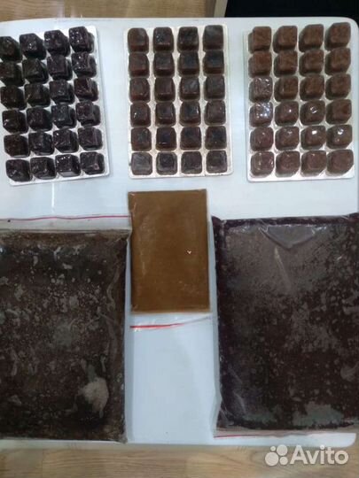 Корм для рыб+циклоп, мотыль