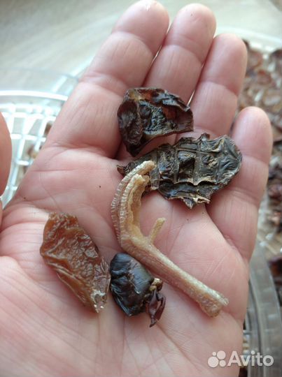 Фарш и лакомства для животных перепелиные