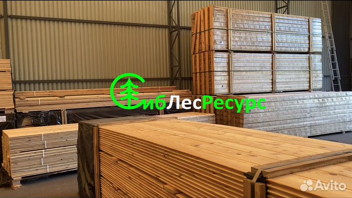 Планкен лиственница