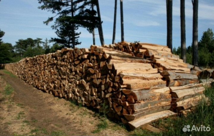 Дрова колотые дуб