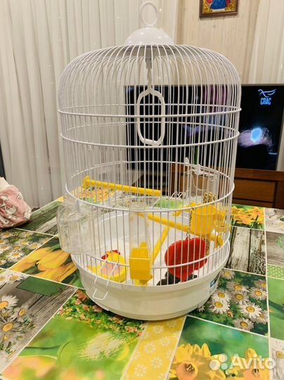 Клетка для попугая