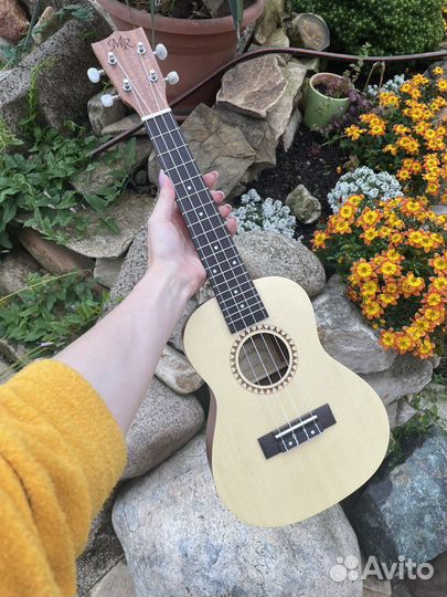 Укулеле концерт