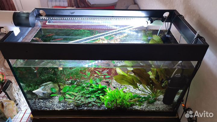 Аквариум