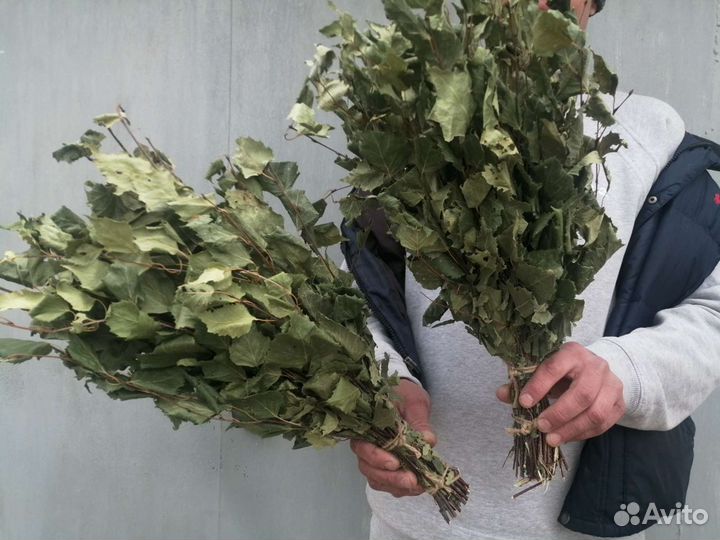 Веники берёзовые